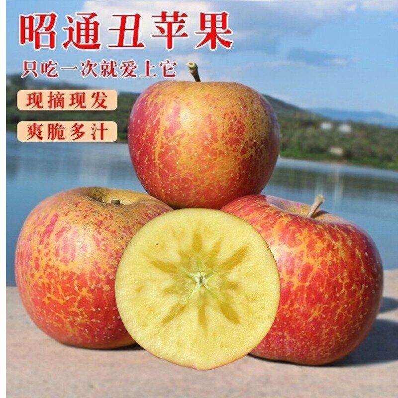 云南昭通冰糖心丑苹果野生新鲜孕妇水果红富士苹果现摘大果包邮,包装,水果包装,淘宝优惠券,粉丝福利购,淘宝优惠卷