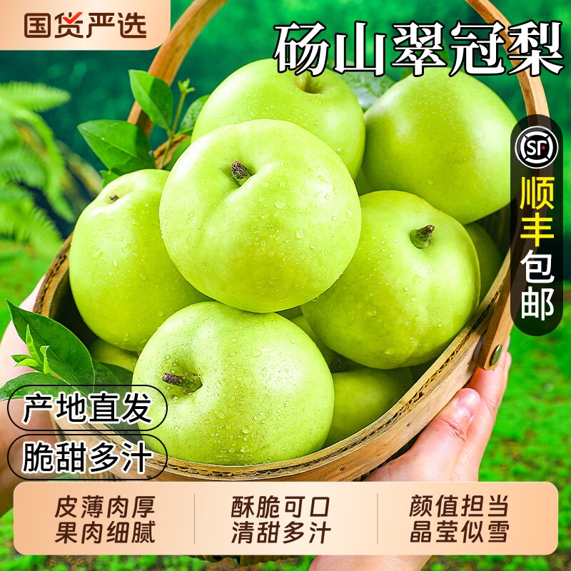 翠冠梨砀山梨子正宗安徽