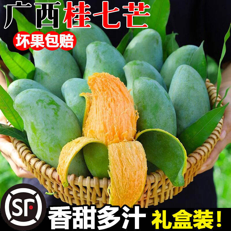 现摘现发正宗广西百色田