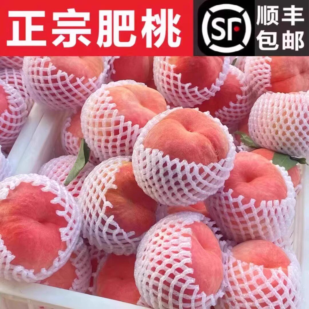 顺丰山东泰安新鲜肥城肥