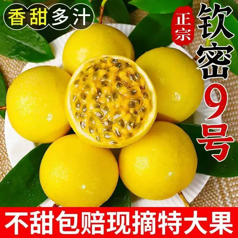 【精品】正宗广西钦蜜9号