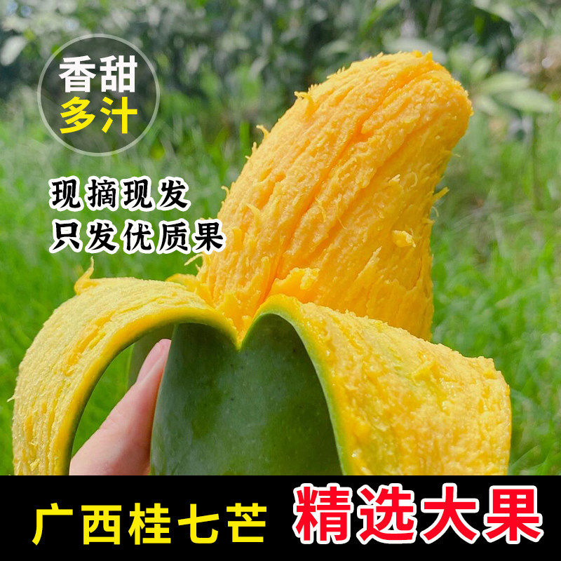 正宗广西田东桂七芒果当季新鲜水果孕妇现摘现发热带青皮甜心芒果