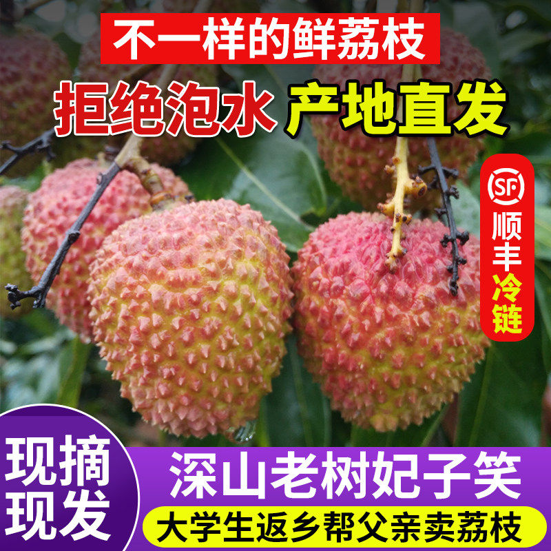 顺丰冷链老树妃子笑荔枝