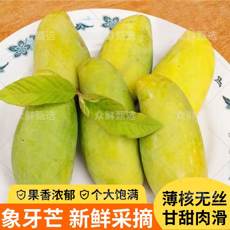 正宗象牙芒纯甜无丝肉滑当季新鲜现摘水果腰芒甜芒大青芒老树芒果