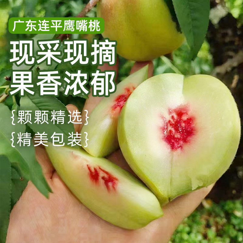 广东连平正宗鹰嘴桃现摘