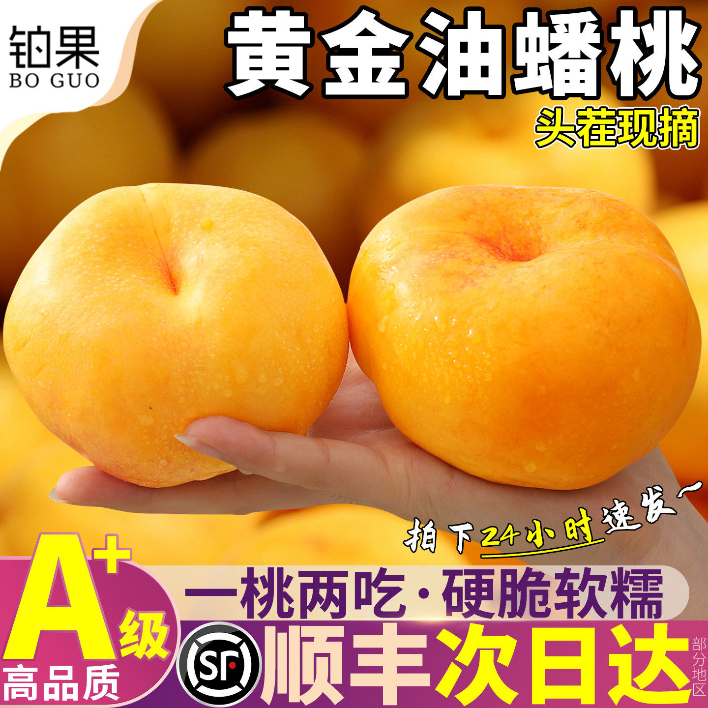 顺丰礼盒5斤山东蒙阴黄