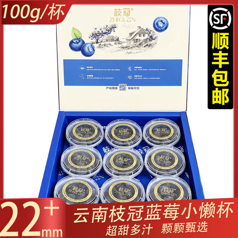枝冠蓝莓小懒杯9杯礼盒装云南山地蓝莓新鲜孕妇时令水果,包装,水果包装,淘宝优惠券,粉丝福利购,淘宝优惠卷