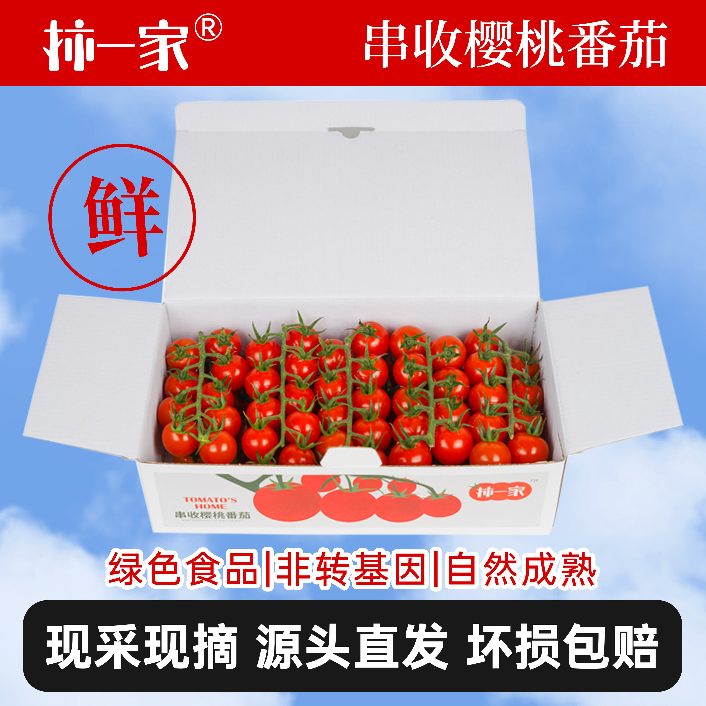 柿一家串收小番茄1kg顺丰