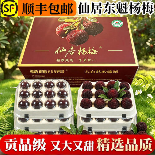 现货速发正宗仙居东魁杨