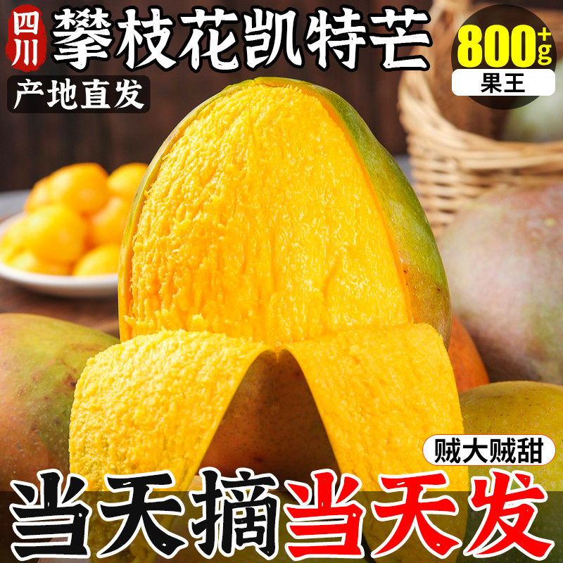 四川攀枝花凯特芒芒果新鲜水果应季整箱包邮特大青金孕妇煌芒现摘