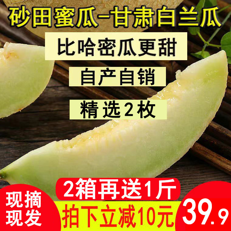 甘肃白兰瓜兰州网纹银蒂