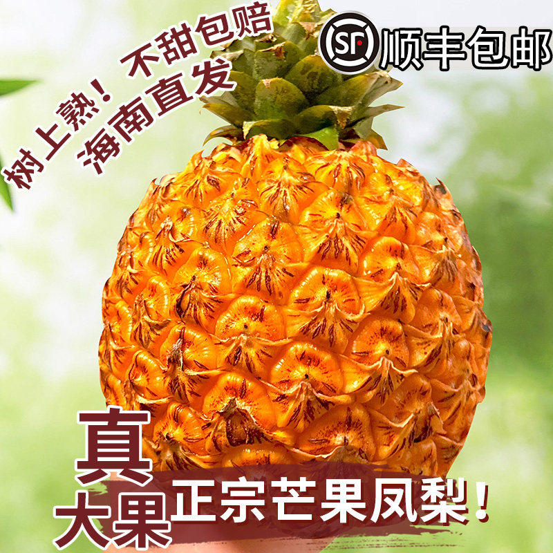 芒果凤梨海南新鲜水金钻