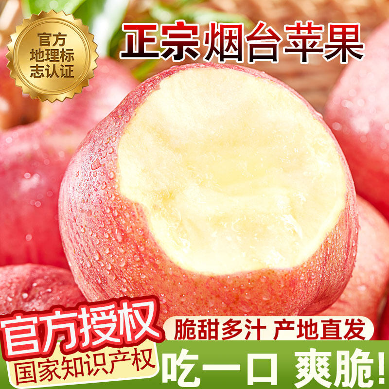 烟台苹果水果山东栖霞红