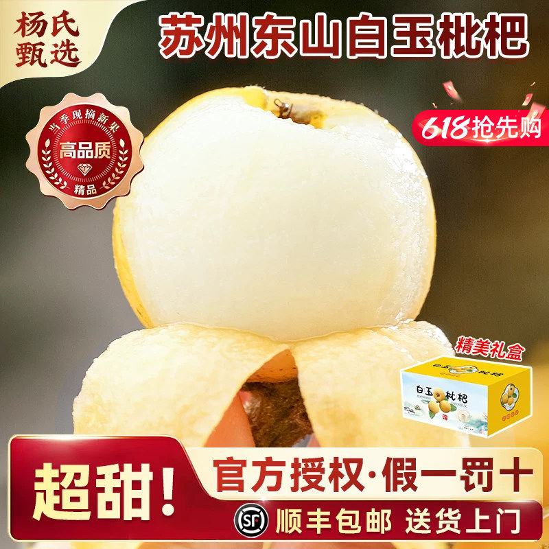 超甜苏州东山白玉枇杷鲜