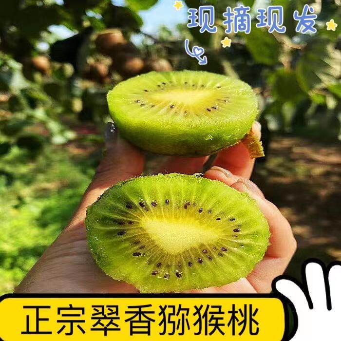 陕西周至翠香猕猴桃新鲜水果奇异果泥弥胡桃非红黄果心