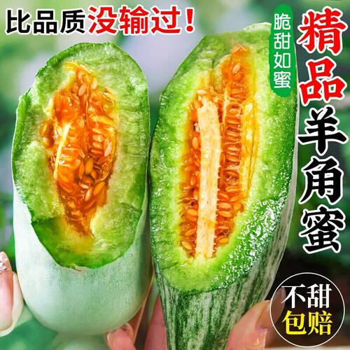 山东羊角蜜甜瓜新鲜水果
