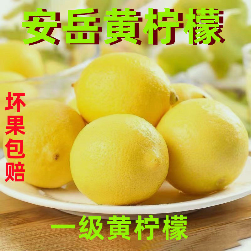 安岳现摘一级黄柠檬新鲜
