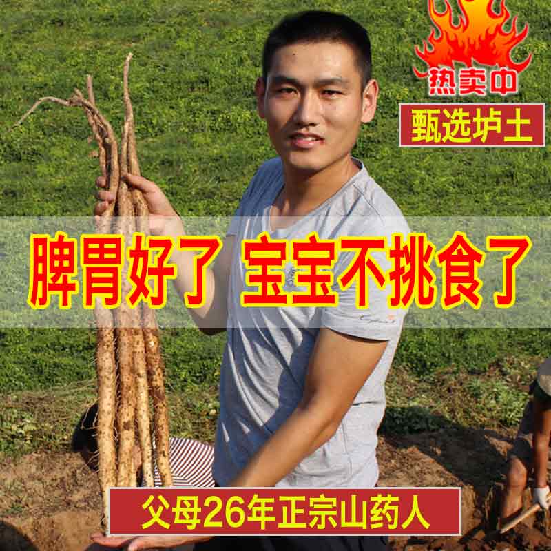 铁棍山药新鲜河南焦作温县怀山淮山药铁棒垆土正宗铁杆淮山5斤装