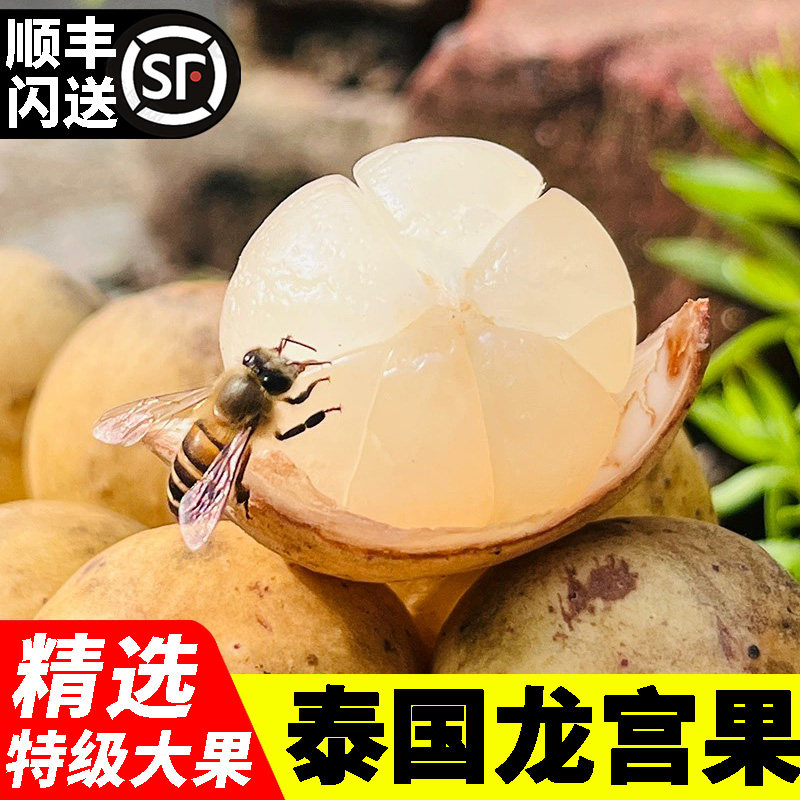 泰国进口新鲜龙宫果热带