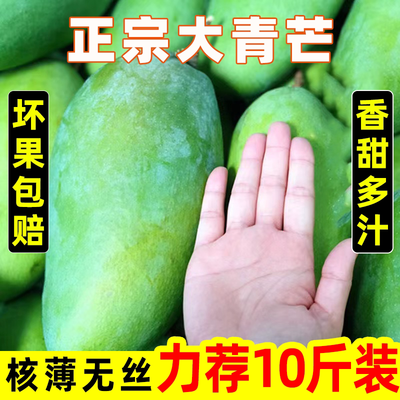 海南芒果正宗青芒10斤新