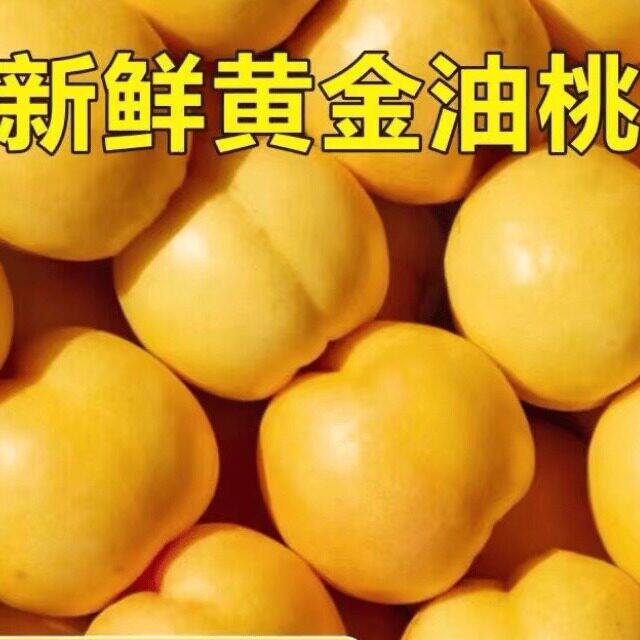 山西运城芒芒桃黄桃新鲜