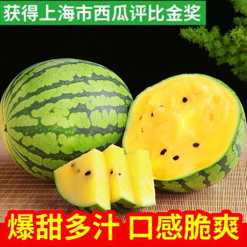 冰淇淋黄瓤西瓜特小凤新