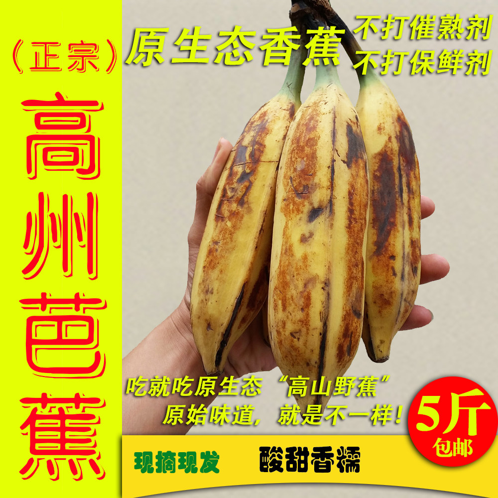 原生态高山野生大芭蕉5斤