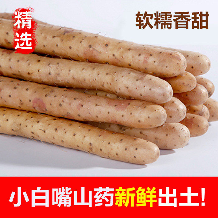 正宗小白嘴山药河北新鲜5斤比温县垆土铁棍铁杆淮山怀山约药好吃