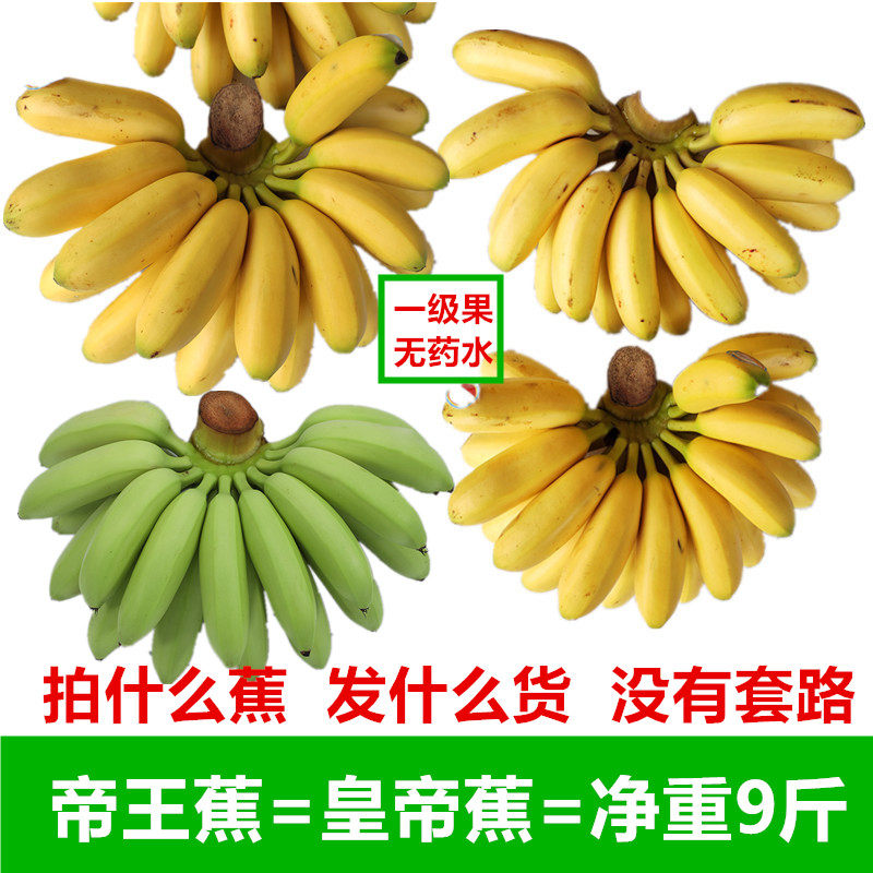 皇帝蕉超甜小香王蕉黄芭