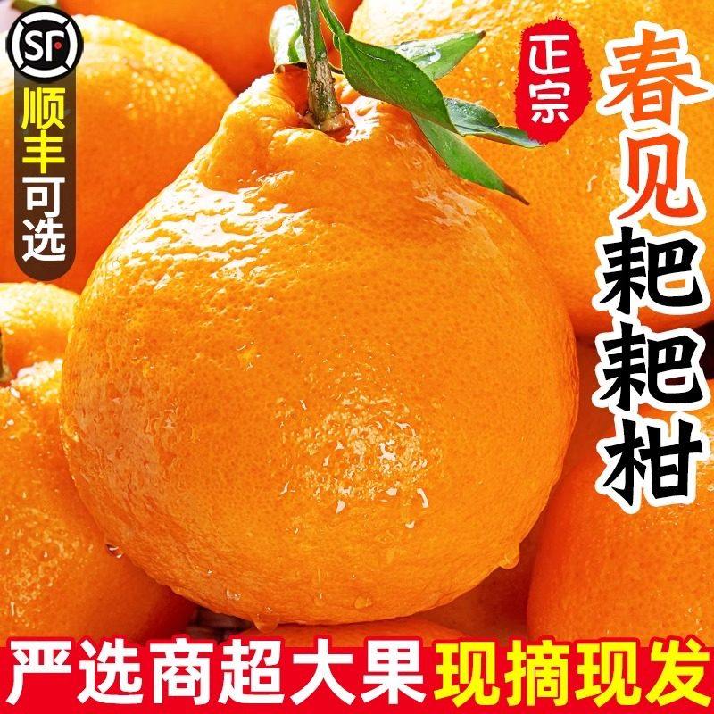 正宗四川春见耙耙柑18斤新鲜水果当季整箱丑八怪橘子特级粑粑柑桔,包装,水果包装,淘宝优惠券,粉丝福利购,淘宝优惠卷