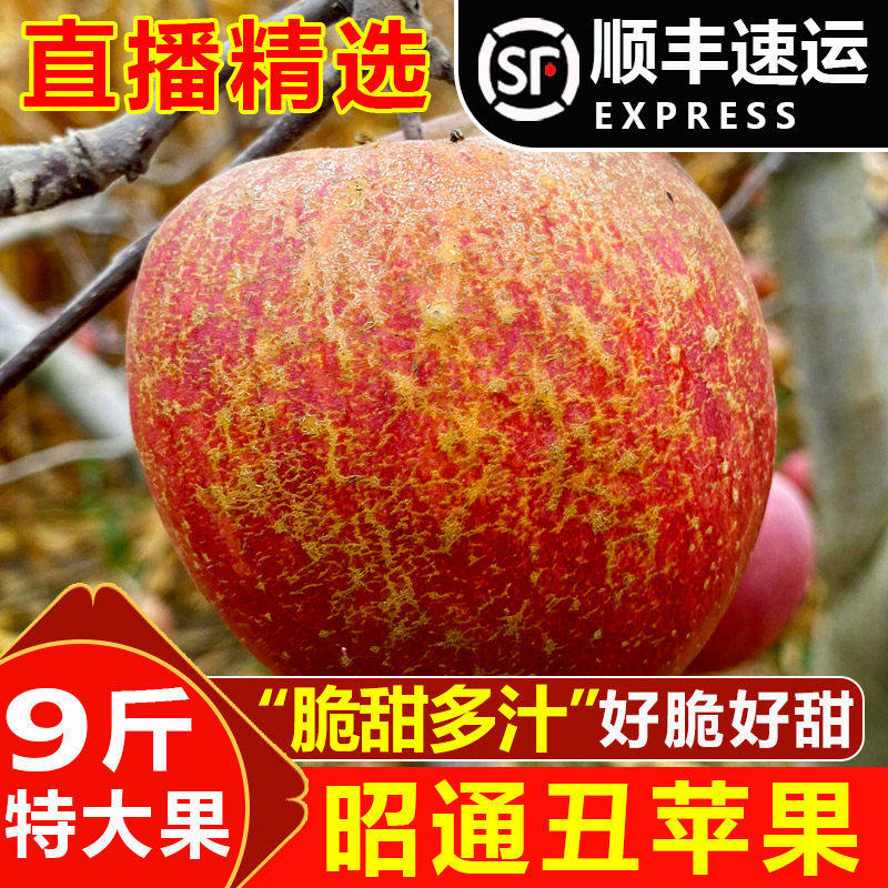 【直播福利】精品特大果9斤云南昭通冰糖心丑苹果当季新鲜水果,包装,水果包装,淘宝优惠券,粉丝福利购,淘宝优惠卷