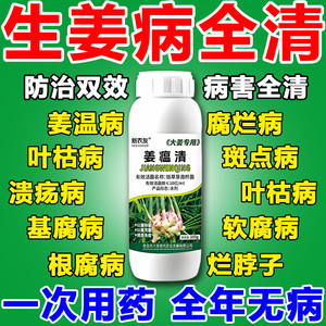 姜温清生姜病专用药生姜专用肥