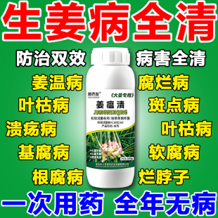姜温清生姜病专用药防治黄叶烂脖子姜瘟病腐烂病杀菌剂生姜专用肥