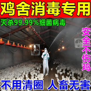 鸡舍专用消毒液鸡鸭鹅圈舍消毒液养殖场专用鸡舍猪圈牛羊圈消毒片