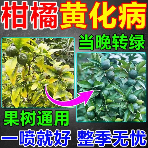 柑橘黄化病杀菌剂柑橘黄龙病专用