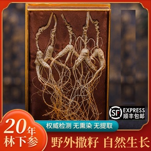 长白山人参20年野山参林下参籽货桓仁山参泡酒煲汤干参礼盒送长辈