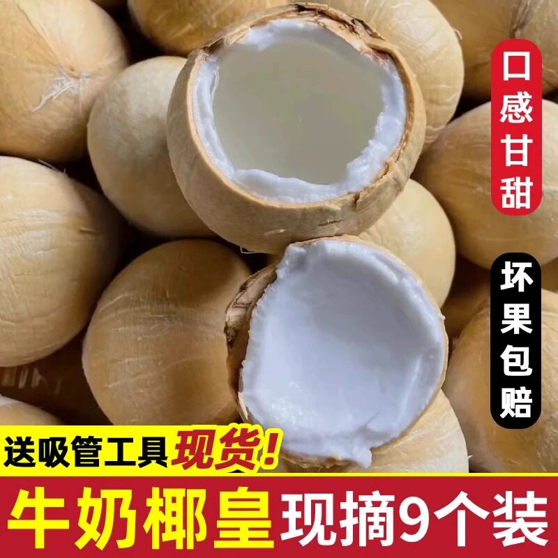 海南文昌牛奶椰皇椰子新鲜大果