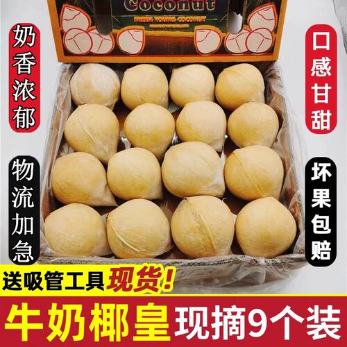 海南文昌牛奶椰皇包邮