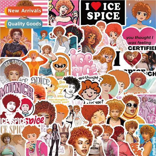 50 Songsss Ice Spice Doodle Stickers Decoration Handbook gga