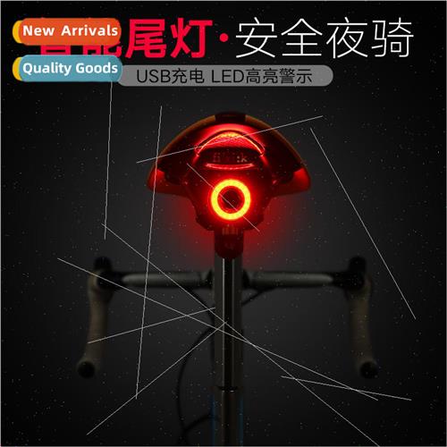 Bicycle tail light brake sensor mountain bike light usb rech