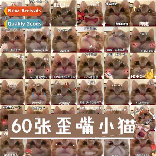 60 Cute Crooked Mouth Kitten Emoticon Stickers Cell Phone Ca
