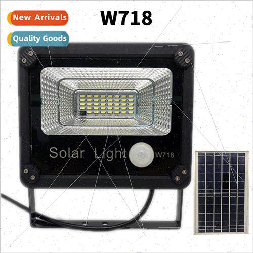 Solar Charging Outdoor ghts Body Sensor ghts Landscape Garde
