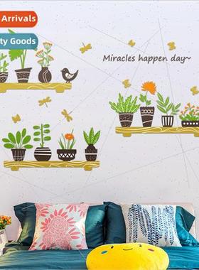 bagless CH46019 potted plants small fresh living room bedroo