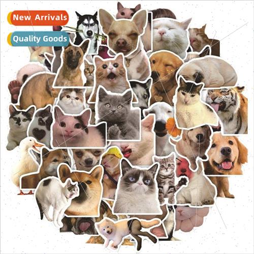 2023 new 适用eign cute cute cat stickers water cup ipad book