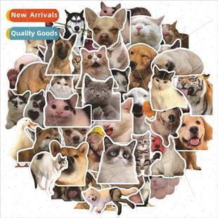 cute cat ipad new book cup 适用eign water 2023 stickers