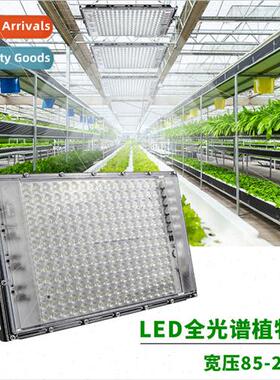 Plant lights led full spectrum greenhouse planting greenhous
