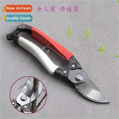 Two-color handle Sk5 steel gardening pruning shears Womens p