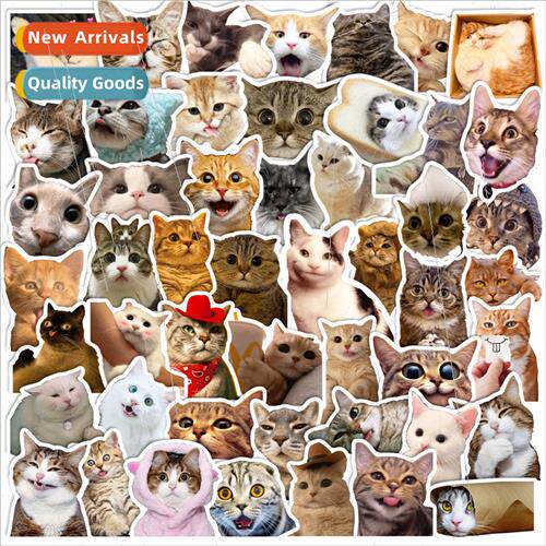 50 pcs cat cat stickers cute cute pet cat cute cat emoticon
