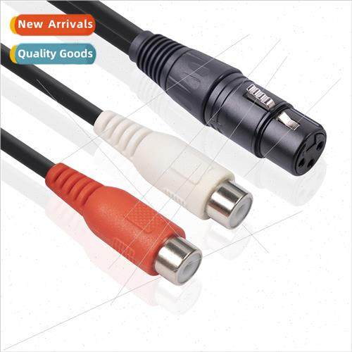 Mixer amplifier with 0.2 meters 3pin ca female to dual RCA f