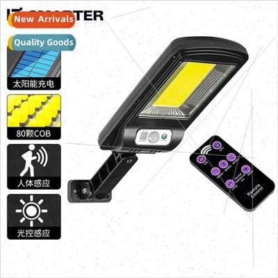 New COB solar set light body sensor with remote control gard